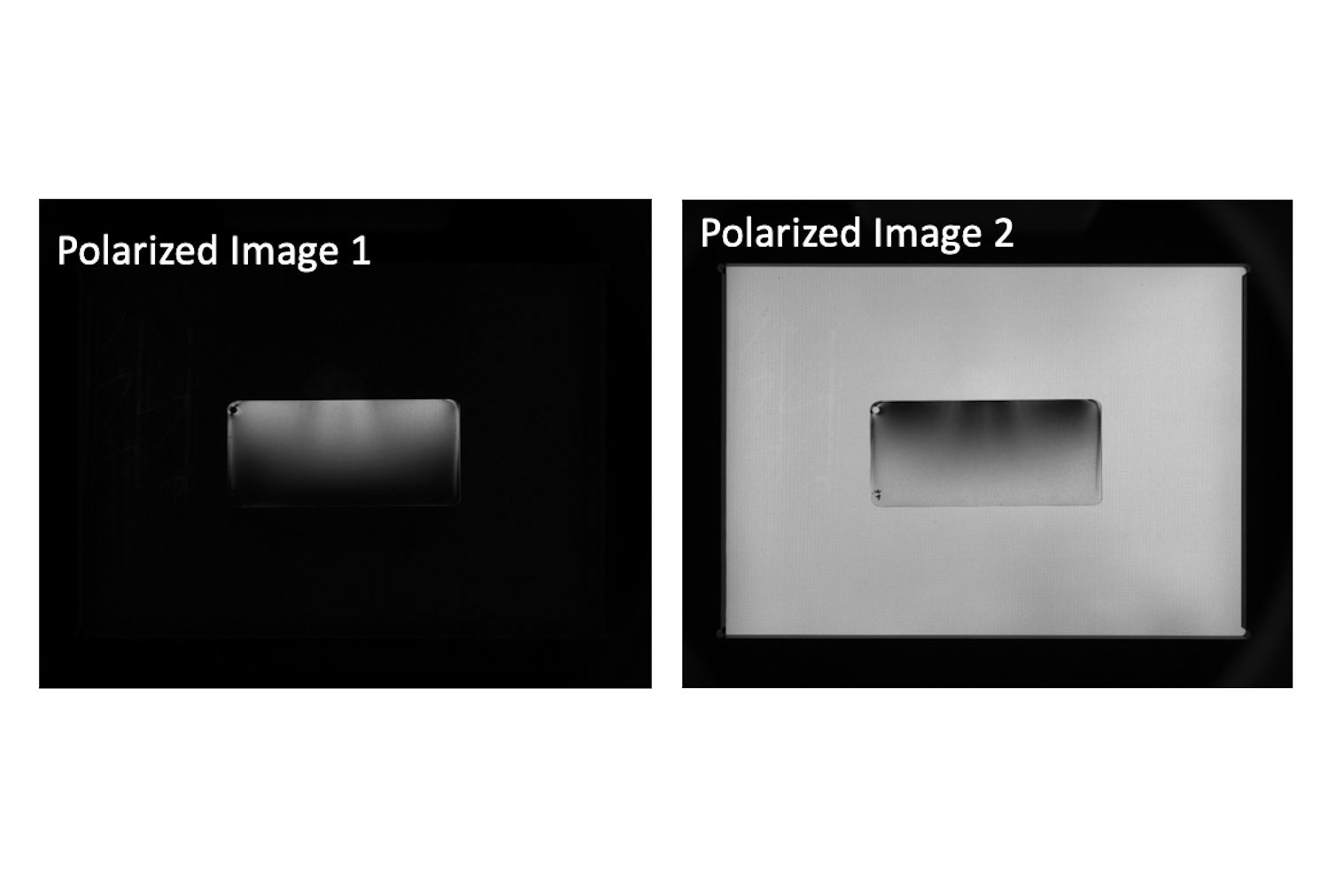 Polarized Image 1